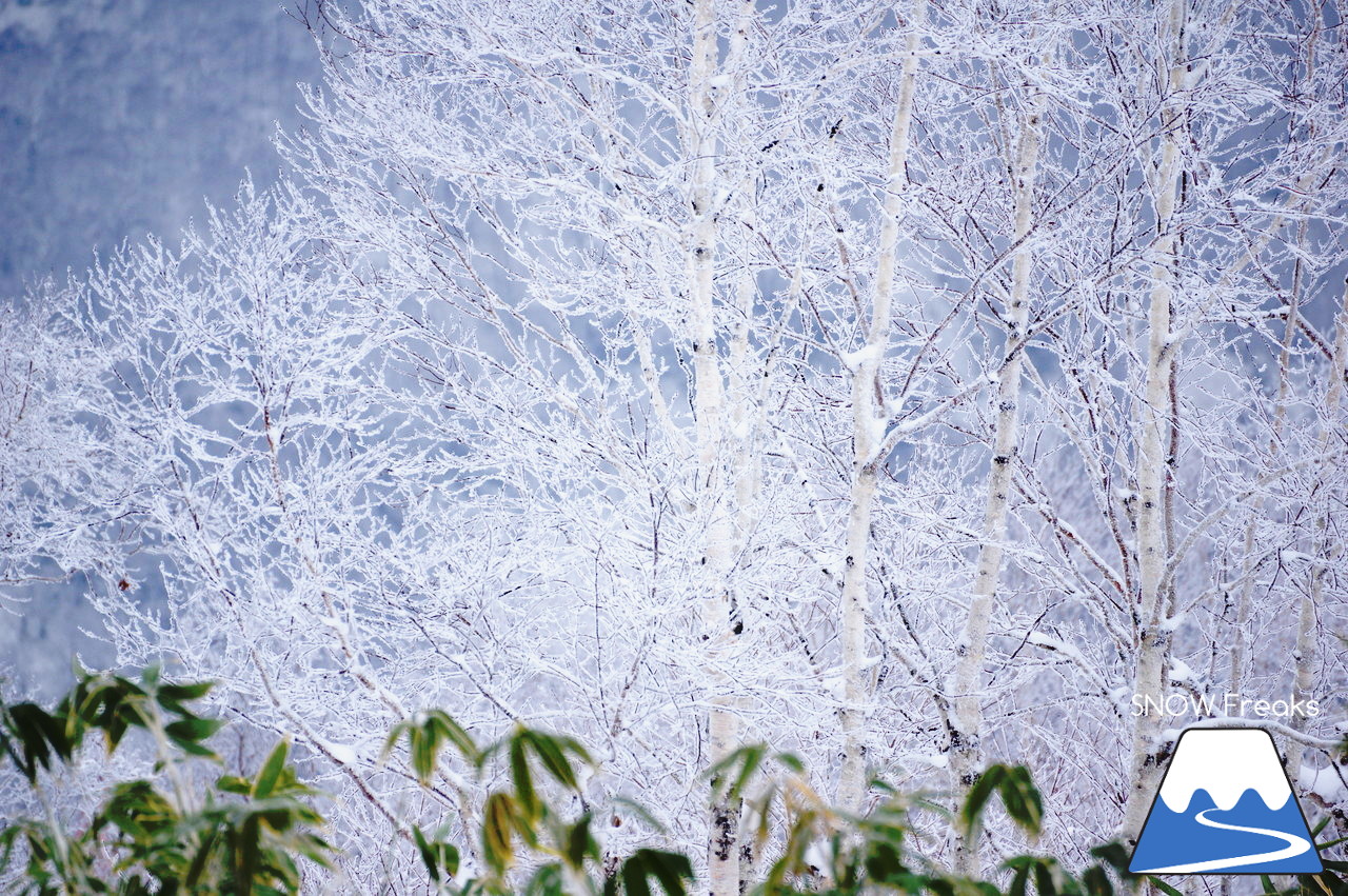 春スキーの聖地『中山峠スキー場』は、初滑りシーズンも凄かった…!!初滑りから粉雪たっぷりの2018年11月☆